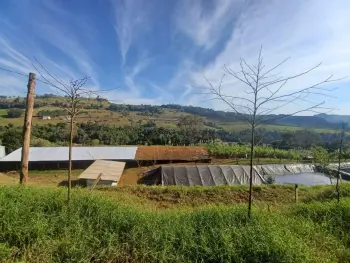 Imagem do anúncio: Vendo imóvel comercial em Concórdia , Santa Catarina no bairro Interior