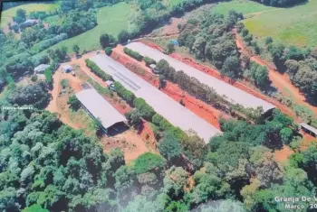 Imagem do anúncio: Vendo fazenda / sítio / chácara em Seara , Santa Catarina no bairro Interior