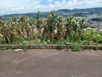 Imagem do anúnio: Vendo terreno / lote / condomínio em Concórdia , Santa Catarina no bairro Nações
