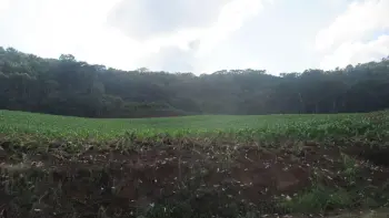 Imagem do anúnio: Vendo imóvel comercial em Peritiba , Santa Catarina no bairro Lageado Mirim