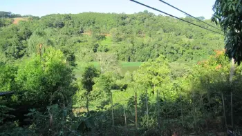 Imagem do anúnio: Vendo fazenda / sítio / chácara em Concórdia , Santa Catarina no bairro Rural
