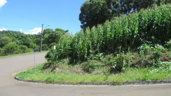 Imagem do anúnio: Vendo terreno / lote / condomínio em Concórdia , Santa Catarina no bairro Primavera