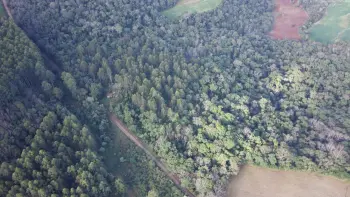 Imagem do anúnio: Vendo terreno / lote / condomínio em Concórdia , Santa Catarina no bairro Interior