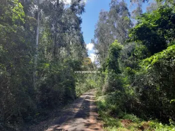 Imagem do anúnio: Vendo imóvel comercial em Concórdia , Santa Catarina no bairro Interior