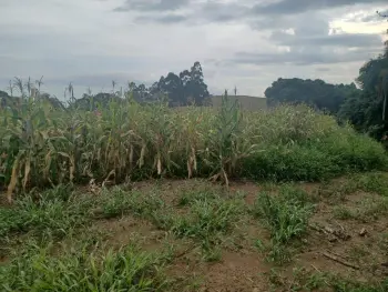 Imagem do anúncio: Vendo imóvel comercial em Irani , Santa Catarina no bairro Interior