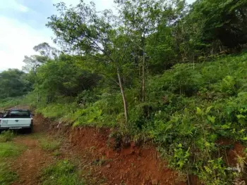 Imagem do anúnio: Vendo terreno / lote / condomínio em Concórdia , Santa Catarina no bairro Linha São Paulo