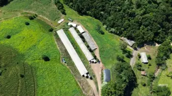 Imagem do anúnio: Vendo fazenda / sítio / chácara em Peritiba , Santa Catarina no bairro Linha Caravagio