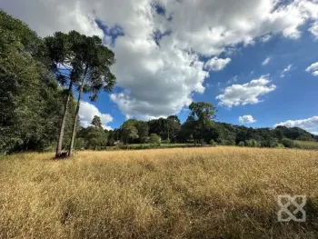 Imagem do anúncio: Vendo fazenda / sítio / chácara em Videira , Santa Catarina no bairro Linha Monte Bérico