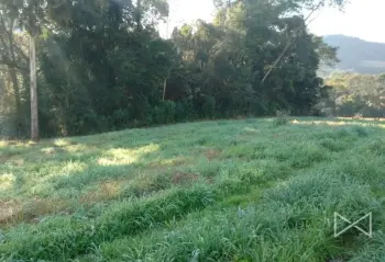 Imagem do anúnio: Vendo fazenda / sítio / chácara em Videira , Santa Catarina no bairro Linha Aparecida