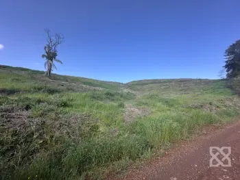 Imagem do anúnio: Vendo fazenda / sítio / chácara em Videira , Santa Catarina no bairro Linha Santa Terezinha