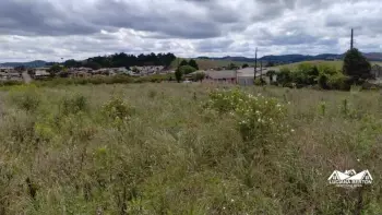 Imagem do anúnio: Vendo terreno / lote / condomínio em Monte Carlo , Santa Catarina no bairro Santo Antonio