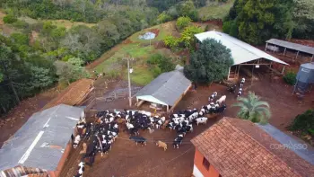 Imagem do anúnio: Vendo terreno / lote / condomínio em Concórdia , Santa Catarina no bairro Linha Canavese