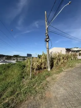 Imagem do anúnio: Vendo terreno / lote / condomínio em Videira , Santa Catarina no bairro Loteamento Cantú