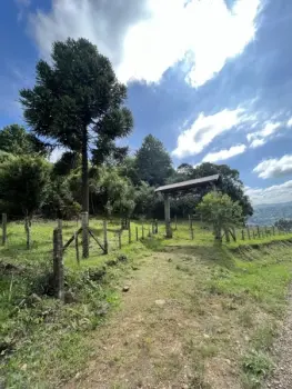 Imagem do anúnio: Vendo fazenda / sítio / chácara em Videira , Santa Catarina no bairro Interior