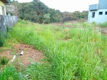 Imagem do anúnio: Vendo terreno / lote / condomínio em Videira , Santa Catarina no bairro São Francisco