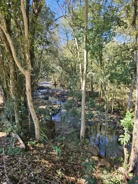 Imagem do anúnio: Vendo terreno / lote / condomínio em Ouro , Santa Catarina no bairro Nossa Senhora da Saúde