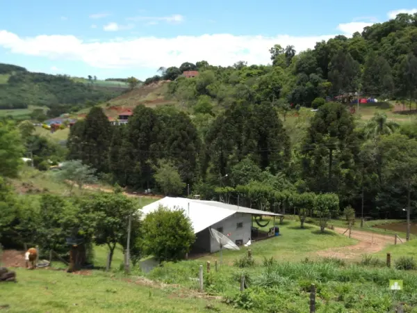 Imagem do anúnio: Alugo casa em Ouro , Santa Catarina no bairro Thermas de Ouro
