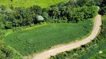 Imagem do anúnio: Vendo fazenda / sítio / chácara em Ouro , Santa Catarina no bairro Distrito de Santa Lúcia