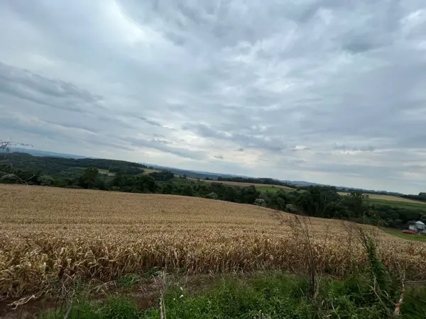 Imagem do anúncio: Vendo fazenda / sítio / chácara em Jaborá , Santa Catarina no bairro Interior