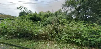 Imagem do anúnio: Vendo terreno / lote / condomínio em Herval D'Oeste , Santa Catarina no bairro Vila Rica