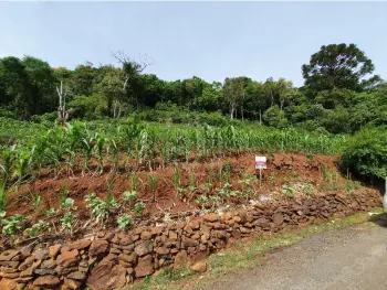 Imagem do anúnio: Vendo terreno / lote / condomínio em Joaçaba , Santa Catarina no bairro SANTA TERESA