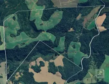 Imagem do anúnio: Vendo fazenda / sítio / chácara em Fraiburgo , Santa Catarina no bairro Interior Linha Britador