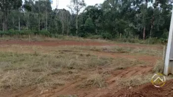 Imagem do anúnio: Vendo terreno / lote / condomínio em Monte Carlo , Santa Catarina no bairro Nossa Senhora Aparecida